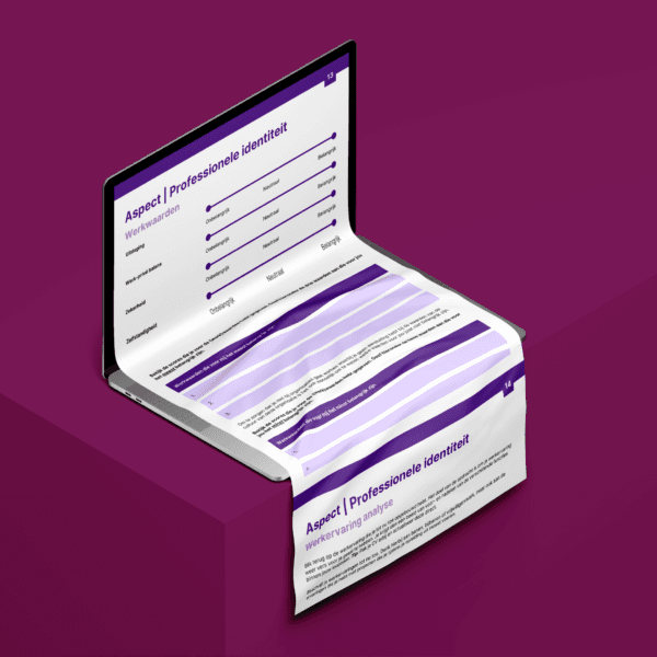 Laptop met digitale pagina’s uit het werkboek Waardevol Werk, gericht op persoonlijke kwaliteiten, professionele identiteit, werkplezier en werkstress.