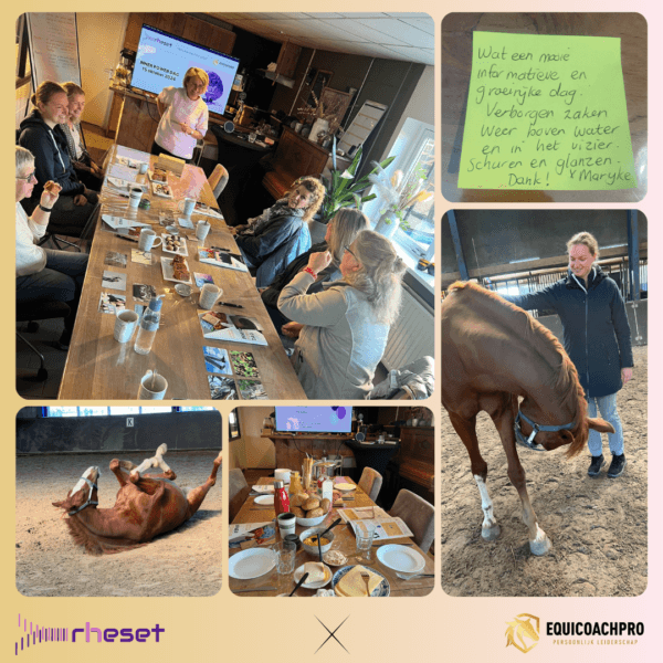 Collage van deelnemers aan de Inner Power Dag, met momenten van reflectie, persoonlijke groei en paardencoaching.