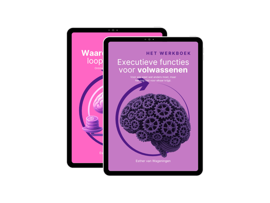 Combideal Executieve functies voor volwassenen en Waardevol Werk & loopbaanvragen