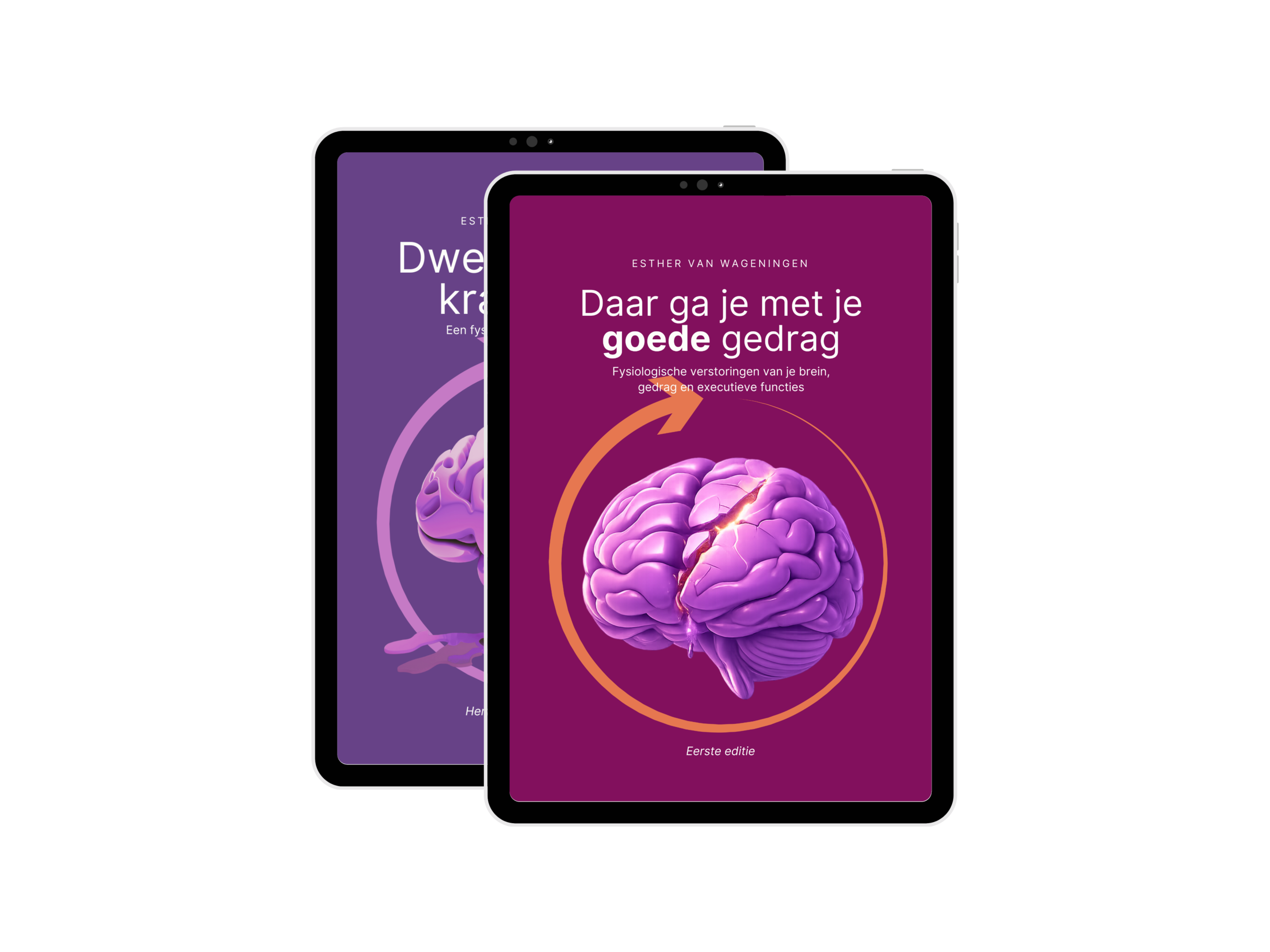 Combideal Van stress naar gedrag met Dweilen met de kraan dicht en Daar ga je met je goede gedrag