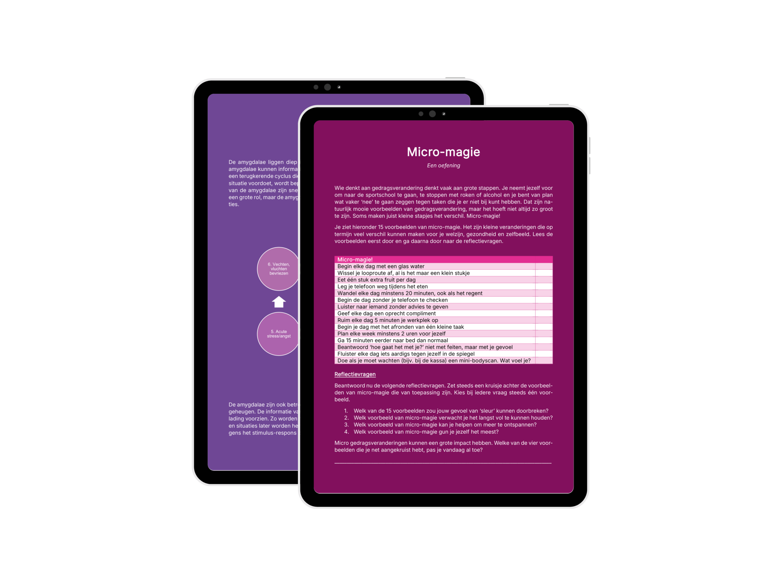 Inkijkpagina's uit Van stress naar gedrag over stressfysiologie en gedragsverandering