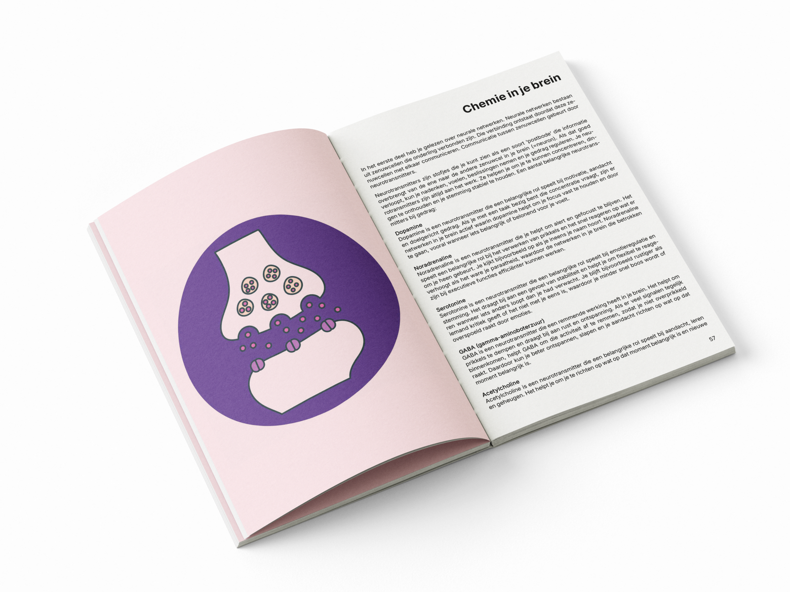 Binnenpagina uit Daar ga je met je goede gedrag over chemie in je brein