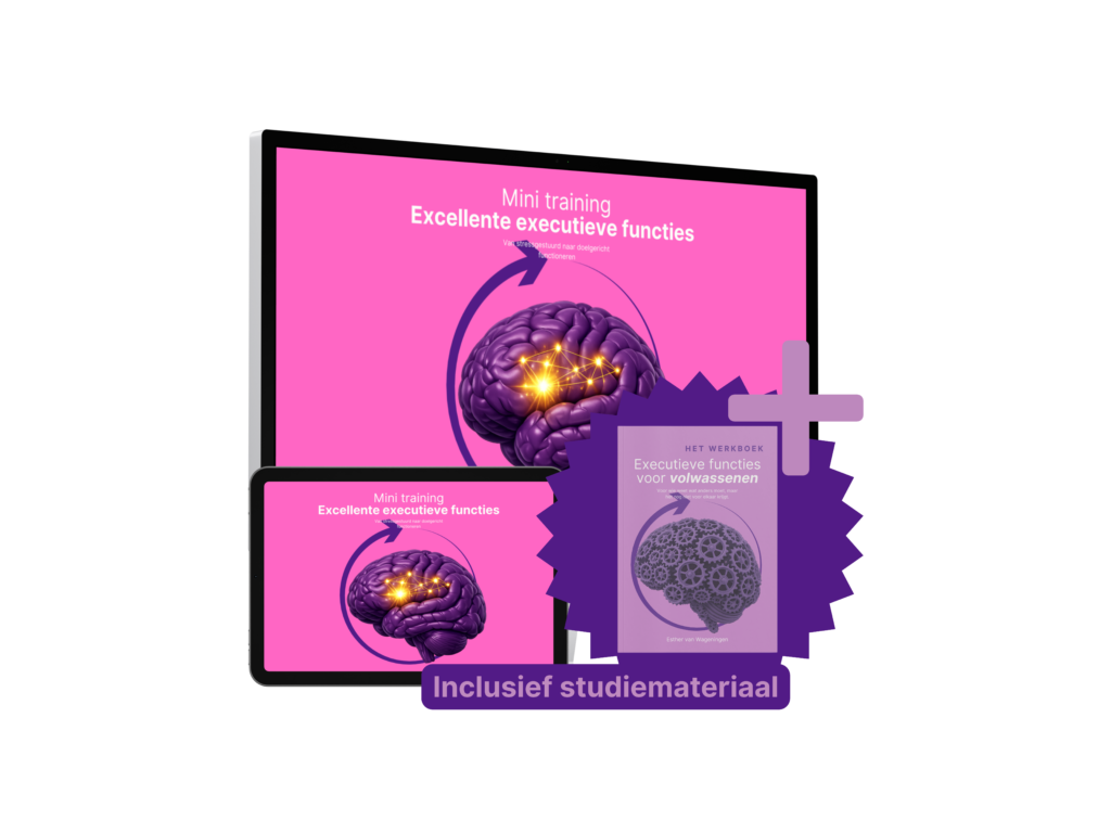Online training Excellente executieve functies met werkboek voor volwassenen