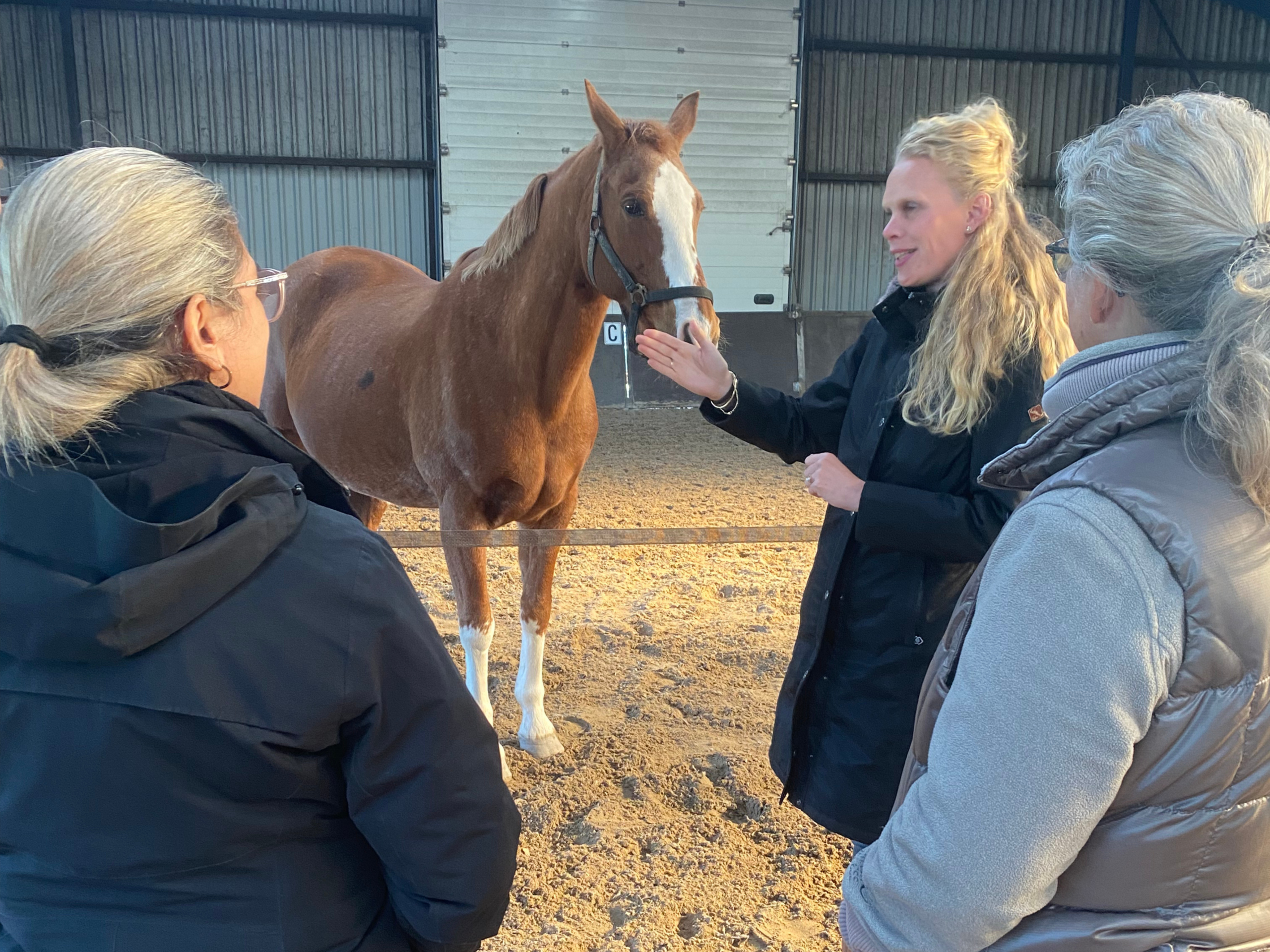 Paardencoaching met deelnemers tijdens Regie over je energie
