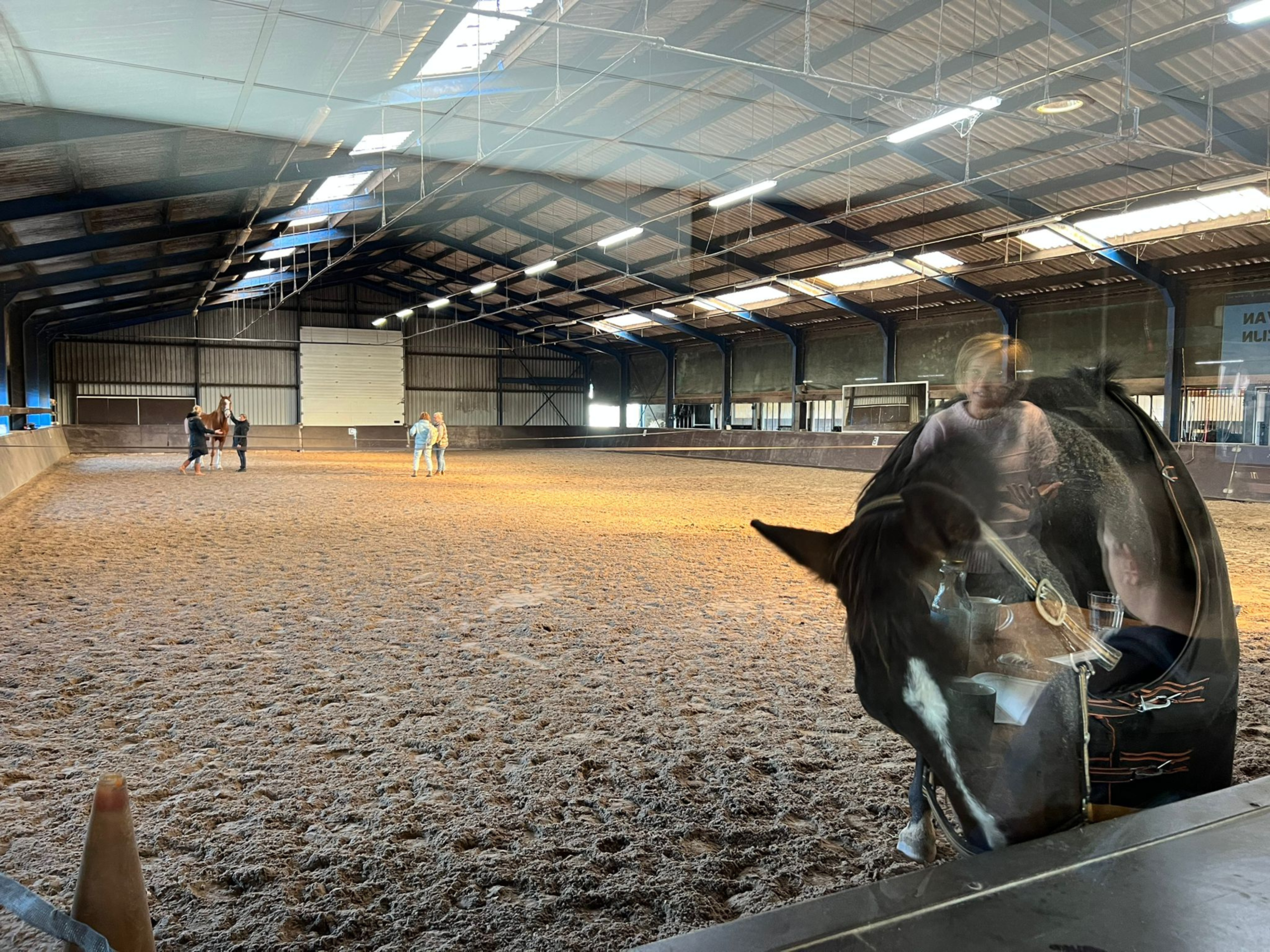 Paardencoaching tijdens de trainingsdag Regie over je energie