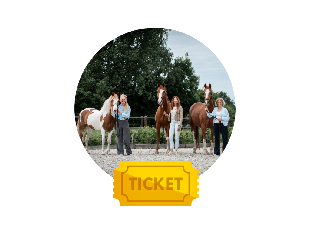 Ticket voor de trainingsdag Regie over je energie