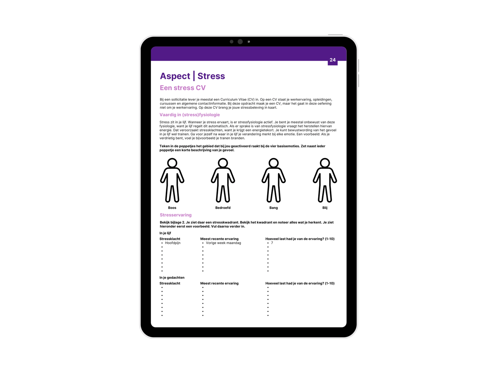 Inkijkpagina uit Waardevol Werk & loopbaanvragen met oefening voor een stress-CV