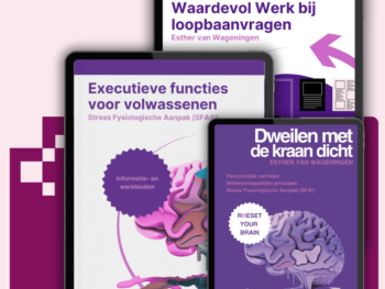 Afbeelding van het complete e-book pakket 'Dweilen met de kraan dicht', inclusief werkboeken over stress en executieve functies.